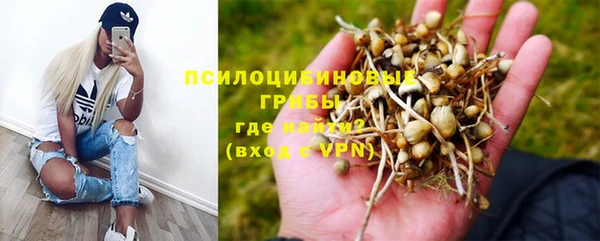 хмурый Сосновка
